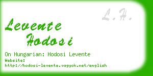 levente hodosi business card